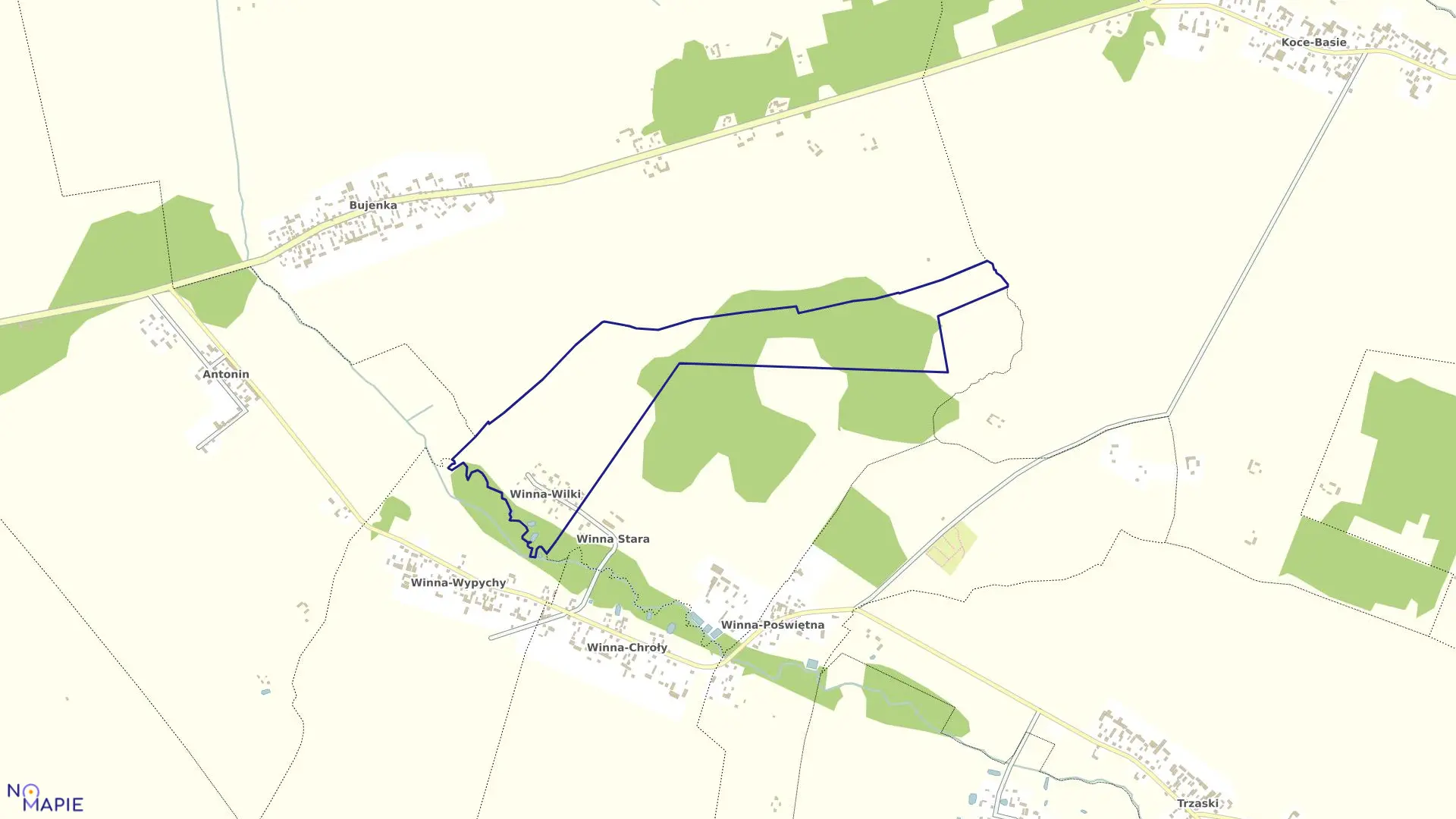 Mapa obrębu WINNA-WILKI w gminie Ciechanowiec